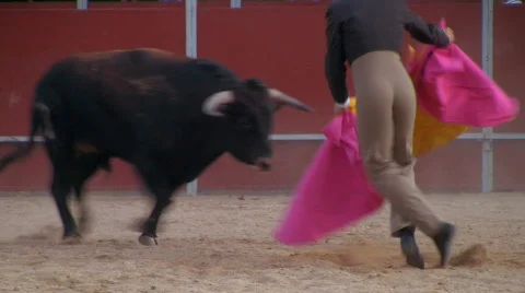 Spanish bullfight Stock Footage