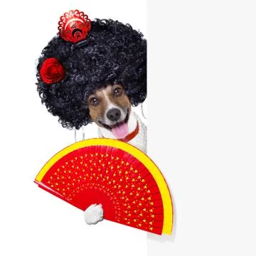 Spanish dog Stock Photos