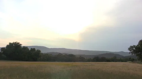 Spanish fields Stock Footage 49761659