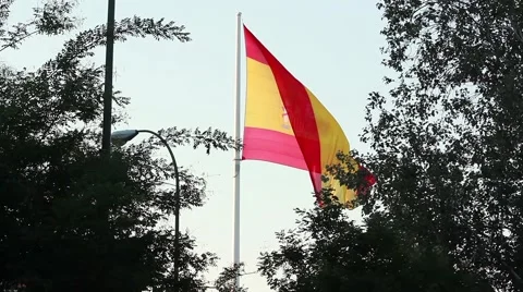 Spanish flag between trees Stock Footage 40974144