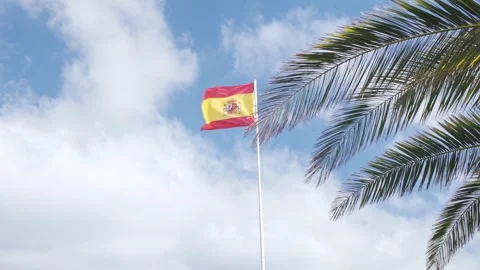 Spanish flag waving with palm tree fronds in Santa Cruz de La Palma Stock Footage 343509365