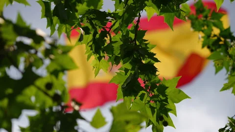 Spanish flag waving in the wind behind green tree leaves Stock Footage 340916637