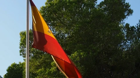 Spanish Flag in Wind Video stock 99352302