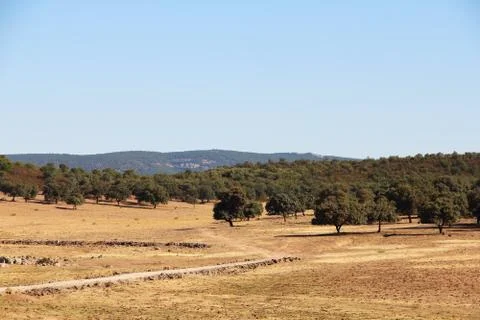 Spanish landscape Stock Photos