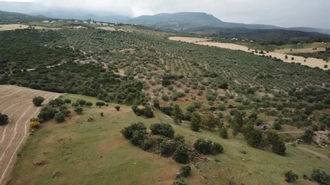 Spanish Landscape with Wheat Field Patterns and Green Trees, Malaga Stock Footage 340124356
