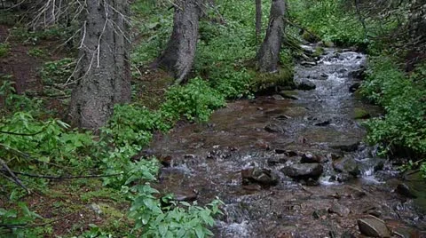 Spanish Peaks Wilderness Stream Видео 16807615
