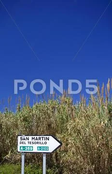Spanish roadsign next to reeds and bullrushes in Spain Stock Photos