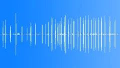 Spanish Sparrow Call Sound Effect