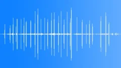 Spanish Sparrow Calls Sound Effect