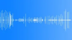 Spanish Sparrow Calls Sound Effect
