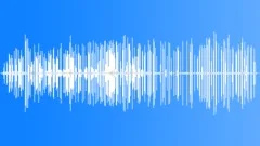 Spanish Sparrow with House Sound Effect