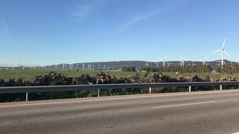 Spanish wind power plants Stock Footage 194845593