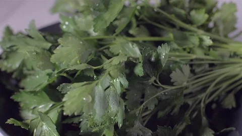 Spanking the parsley, the drops drop the spraying. Stockbeeldmateriaal 106402666