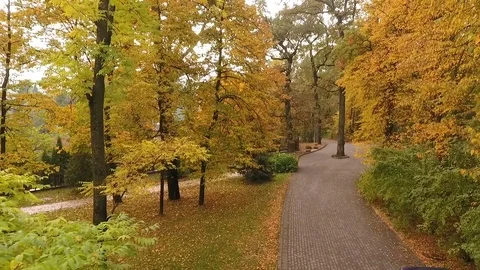 Spans on the autumn park paths Stock Footage 73916593