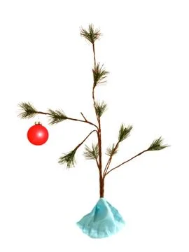 Sparce christmas tree Stock Photos