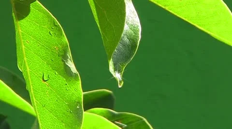 Spark in raindrop Stock Footage 10606667