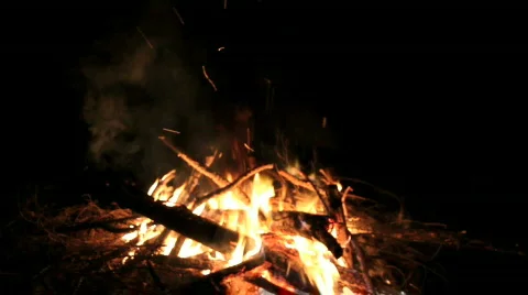 Sparking Bonfire Video stock 770443