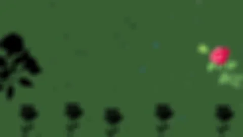Sparkle and flower animation Stock Footage 295379717