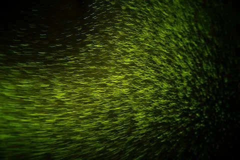 Sparkle Background , Gold Sparkle Background , Gold Black Background Wallpape Stock Photos