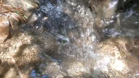 The sparkle of light in the stream a 库存影片 334662950