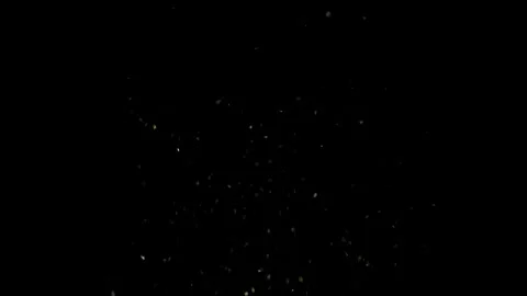 Sparkle particles shine effect particles blink shine stars particles Christmas Vídeos de archivo 317576977