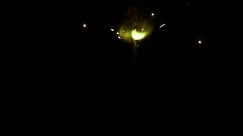 Sparkler on a black background in slow motion Chroma key Stock Footage 83054060