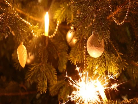 Sparkler burning on a christmas tree Stock Footage 71041225