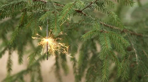 Sparkler is burning in christmas tree (rack focus) Stock Footage 44219573