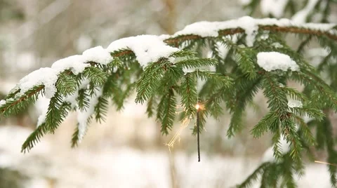 Sparkler hanging in christmas tree (rack focus) Stock Footage 44221639