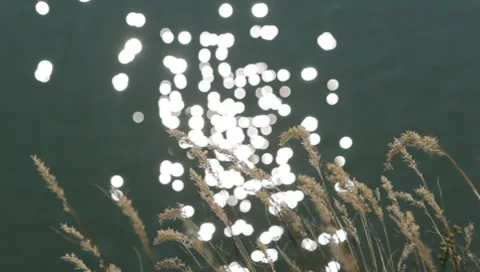 Sparkles in the water 스톡 동영상 8657975