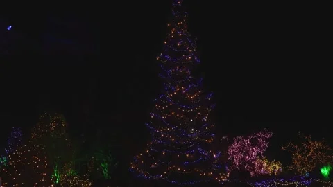 Sparkling blue festive tree marks the holidays Stock Footage 261212273