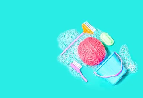 Sparkling Brain: Human Brain Model in Foam with Cleaning Tools Stockfoto's
