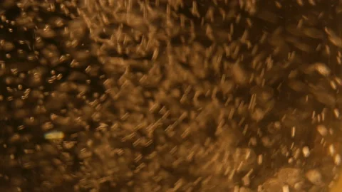 Sparkling bubbles on a black background of high resolution. Stock Footage 86288937