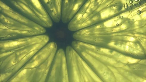 Sparkling bubbles water with a slice of lime Stock Footage 81376226