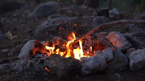 Sparkling Campfire at Twilight in the Wild. Stock Footage 266901125