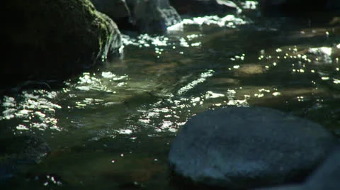 Sparkling creek water Stock Footage 23390867