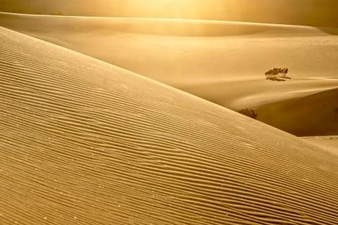 Sparkling desert dunes Foto stock