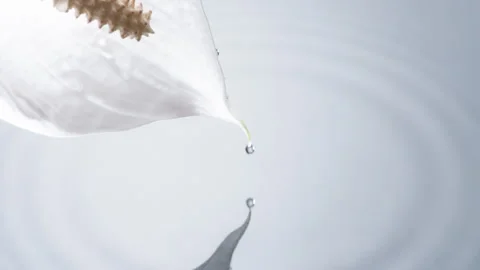 Sparkling Drops Fall from a Flower 4K Stock Footage 258608936