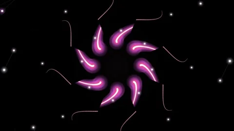 Sparkling Fireworks Explode in Dark Sky. Stock Footage 330350637