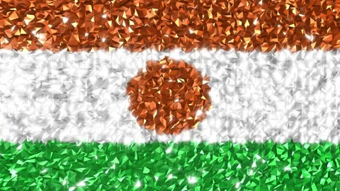 Sparkling Flag Niger 4K Stock Footage 292438914