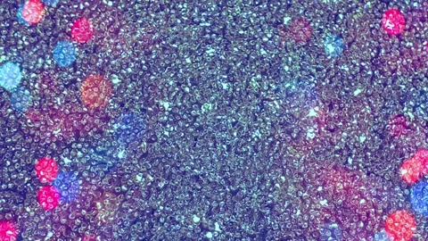 Sparkling glitter shiny background Stock Footage 254406422