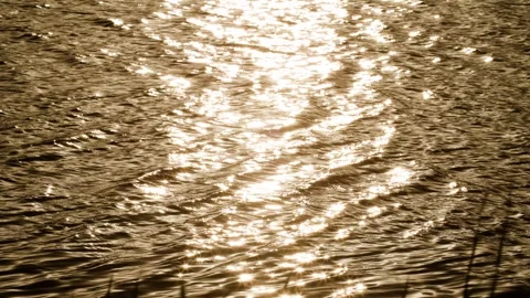 Sparkling golden sunset - water Stock Footage 257529428