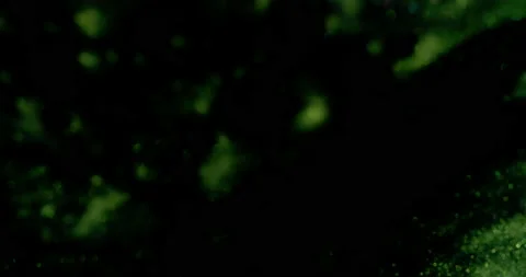 Sparkling green cloud as it moves towards the bottom and transitions into Stock-Footage 217363053
