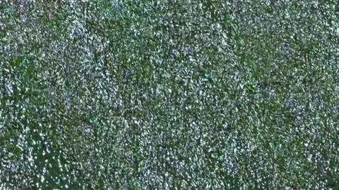 Sparkling green water texture with glitter effect, abstract background in m.. Stock Footage 334656044