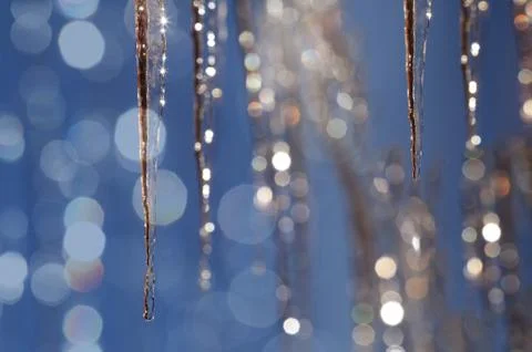 Sparkling icicles in winter Stock Photos