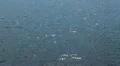 Sparkling Lake. HD Footage