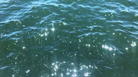 Sparkling Lake Water 스톡 동영상 220570902