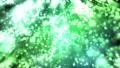 Sparkling light sparks bubbles defocused DOF bokeh abstract background 4K 4k or 4k+ Resolution