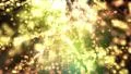 Sparkling light sparks bubbles defocused DOF bokeh abstract background 4K 4k or 4k+ Resolution
