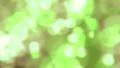 Sparkling light sparks slow motion defocused abstract background green loop HD Footage